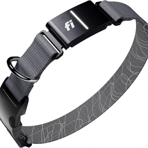 New Fi Series 3+ Smart Dog Tracker Collar [6 Month Membership Included] GPS Tracker for Dogs with Health & Behavior Monitoring, Escape Alerts, Waterproof, LED, Apple Watch Compatible (Gray, X-Large)