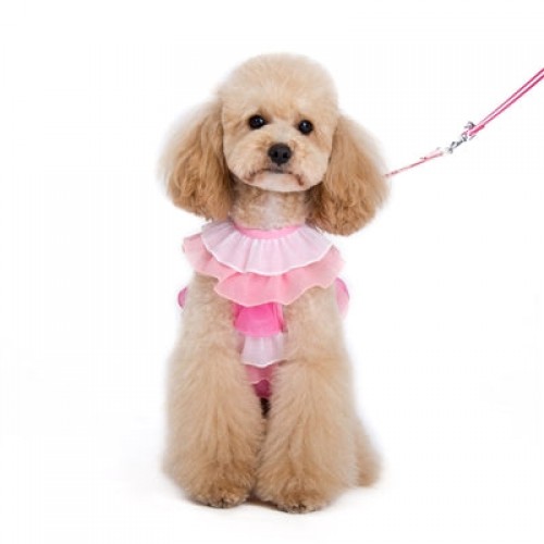 [10% OFF] EasyGo Multi Ruffle Harness